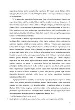 Referāts 'Organizācijas kultūras analīze sporta klubā', 7.