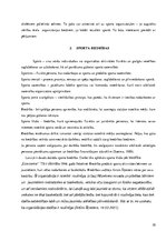 Referāts 'Organizācijas kultūras analīze sporta klubā', 10.