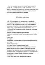 Referāts 'Vēnu varikoze', 3.