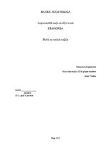 Eseja 'Baltā un melnā maģija', 1.