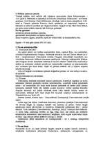 Konspekts 'Zemes vēsture. Devons', 5.