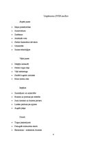 Biznesa plāns 'Uzņēmums SIA "Glazūra"', 8.