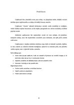 Biznesa plāns 'Uzņēmums SIA "Glazūra"', 20.