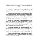 Eseja 'Mūsdienu tehnoloģijas un cilvēku ikdiena', 1.