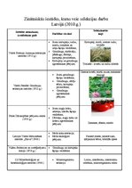 Konspekts 'Latvijas selekcionāru sasniegumi', 4.