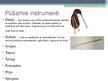 Prezentācija 'Latviešu tautas mūzikas instrumenti, prezentācija', 3.