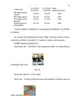 Referāts 'Viesmīlības industrijas attīstības iespējas Rīgā', 38.