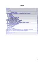 Referāts 'Tautas medicīnas procedūras sejai', 3.