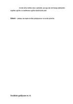 Referāts 'Sociālā palīdzība', 2.