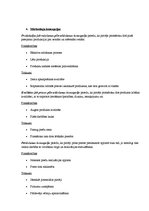 Konspekts 'Mārketinga koncepciju priekšrocības un trūkumi', 2.