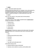 Konspekts 'Mārketinga koncepciju priekšrocības un trūkumi', 4.