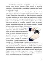 Diplomdarbs 'Notikuma vietas apskate: mūsdienu iespējas, problēmas', 21.