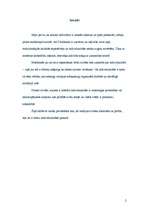 Referāts 'Socialitāte un individualitāte - jautājums par identitāti', 2.