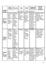 Referāts 'Atkritumu šķirošana Latvijā', 19.