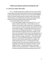 Referāts 'Satversmes Sapulces ievēlēšana un likumdošanas darbība (1920. – 1922.)', 10.