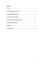 Referāts 'Dzimumnelīdztiesības problēmas darba sfērā un to risināšanas iespējas', 2.