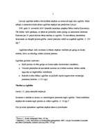 Referāts 'Izglītības sistēma Latvijā', 4.