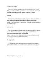 Referāts 'Izglītības sistēma Latvijā', 7.