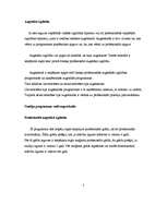 Referāts 'Izglītības sistēma Latvijā', 8.