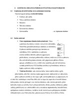 Prakses atskaite 'Viesnīca-restorāns "Avalon"', 9.