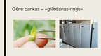 Prezentācija 'Kultūraugu gēnu bankas', 4.