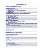 Biznesa plāns 'Biznesa plāns SIA "D&G"', 1.