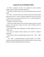 Biznesa plāns 'Biznesa plāns SIA "D&G"', 2.