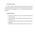 Biznesa plāns 'Biznesa plāns SIA "D&G"', 5.