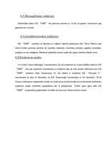 Biznesa plāns 'Biznesa plāns SIA "D&G"', 12.