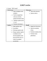 Biznesa plāns 'Biznesa plāns SIA "D&G"', 13.