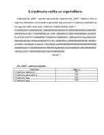 Biznesa plāns 'Biznesa plāns SIA "D&G"', 14.