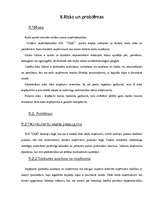 Biznesa plāns 'Biznesa plāns SIA "D&G"', 16.