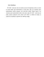 Biznesa plāns 'Biznesa plāns SIA "D&G"', 18.