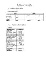 Biznesa plāns 'Biznesa plāns SIA "D&G"', 19.