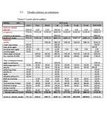 Biznesa plāns 'Biznesa plāns SIA "D&G"', 20.