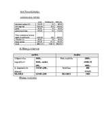 Biznesa plāns 'Biznesa plāns SIA "D&G"', 21.