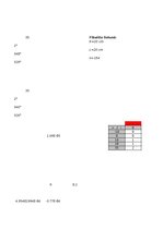 Paraugs &#039;Bio Savāra Laplasa likuma un superpozīcijas principa pārbaude izmantojot Helmhol&#039;, 131.