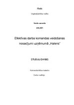 Referāts 'Efektīvas darba komandas veidošanas nosacījumi uzņēmumā "Halens"', 1.