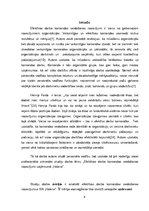 Referāts 'Efektīvas darba komandas veidošanas nosacījumi uzņēmumā "Halens"', 4.