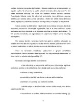 Referāts 'Efektīvas darba komandas veidošanas nosacījumi uzņēmumā "Halens"', 9.