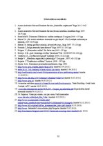 Referāts 'Efektīvas darba komandas veidošanas nosacījumi uzņēmumā "Halens"', 32.