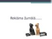 Prezentācija 'Reklāmas projekts suņu barībai', 16.
