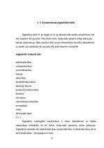 Referāts 'Jūgendstils Rīgā', 13.