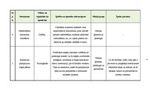 Referāts 'Apbedīšanas industrijas un produkta analīze', 8.