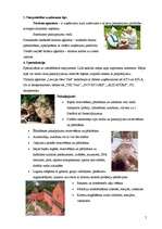 Referāts 'Tūrisma aģentūra "Latvijas New Tūrs"', 5.