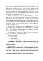 Referāts 'Pirmsskolas vecuma bērnu atmiņas attīstība vizuālās mākslas nodarbībās', 13.