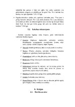 Konspekts 'Kristīne Ulberga "Tur"', 3.