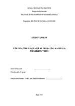 Referāts 'Vērtspapīru tirgus kā alternatīvs kapitāla piesaistes veids', 1.