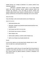 Referāts 'Vērtspapīru tirgus kā alternatīvs kapitāla piesaistes veids', 4.