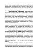 Referāts 'Vērtspapīru tirgus kā alternatīvs kapitāla piesaistes veids', 13.